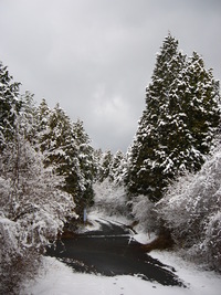 雪遊び～ 2008/03/06 00:47:56