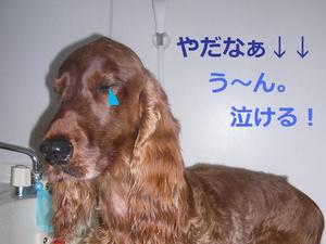 同じ場所へ