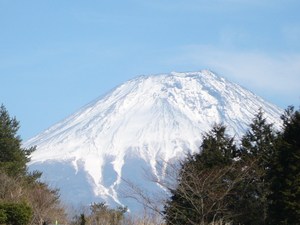 今日は…