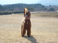 今日は… 2008/03/09 18:46:01