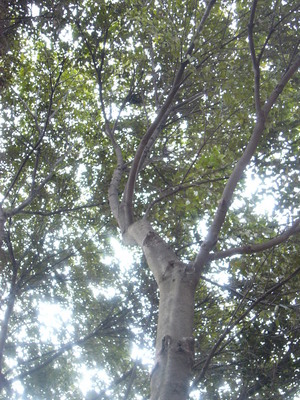 広見公園へ