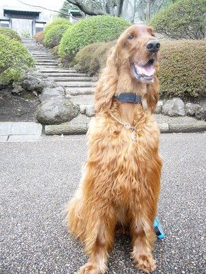 広見公園へ