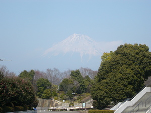 競技場へ