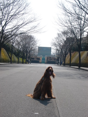 競技場へ