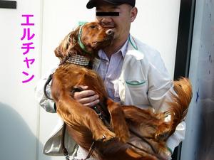 ｾﾝﾄ･ﾊﾟﾄﾘｯｸｽ･ﾃﾞｲ･ﾊﾟﾚｰﾄﾞ