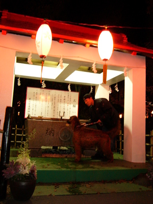 夜桜♪