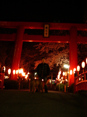 夜桜♪