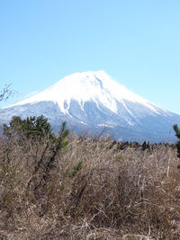 いつもの場所へ 2008/04/02 07:34:05