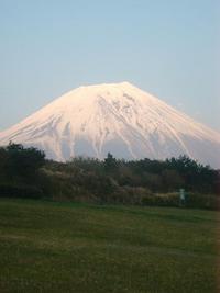 やっと富士山が