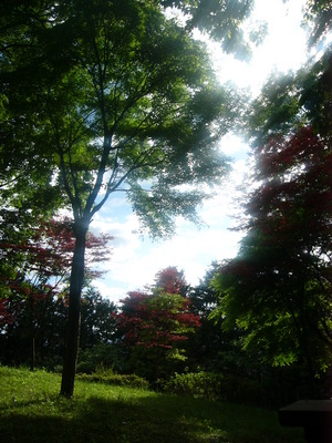 sanpo