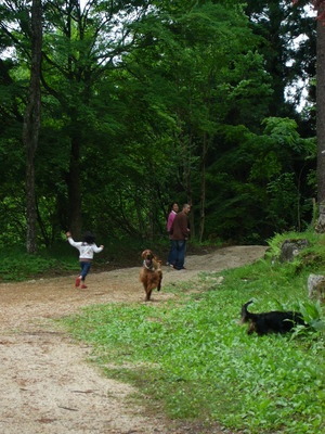 茶臼山高原へ