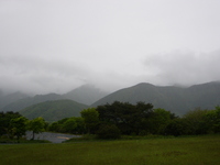 雨の朝霧