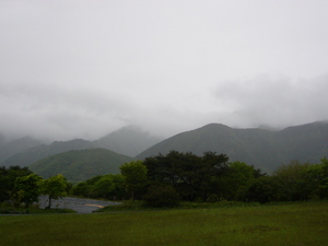 雨の朝霧