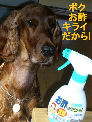 お酢成分すごいから！