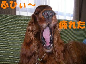 お風呂のあとは…