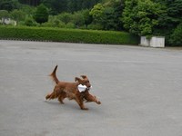 変化
