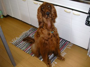 お風呂のあとは…