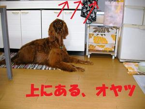 お風呂のあとは…
