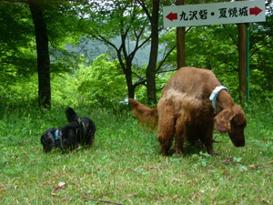 茶臼山高原へ