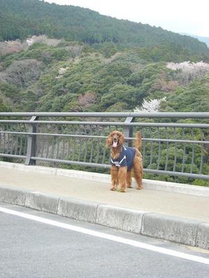 山～♪