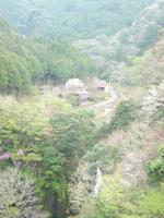 山～♪