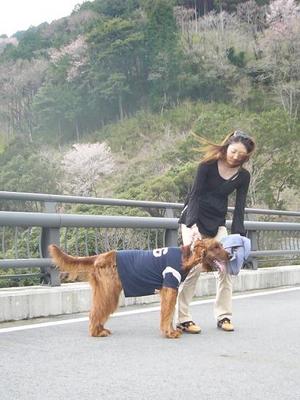 山～♪