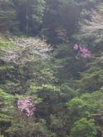 山～♪