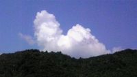 林檎が3つ　あなたと私　どう分ける？
