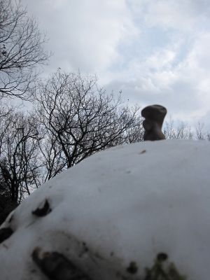 お地蔵さまと行く　【1月2日】