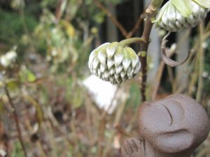 お地蔵さまと行く　【1月2日】