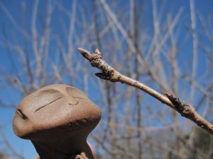 お地蔵さまと行く　【2月13日】