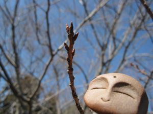 お地蔵さまと行く　【2月13日】