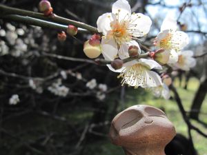 お地蔵さまと行く　【2月13日】