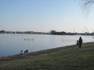 佐鳴湖