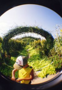 LOMO LC-A　#02