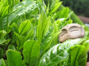 お地蔵さまと行く　100508