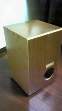 魅惑の生カホン