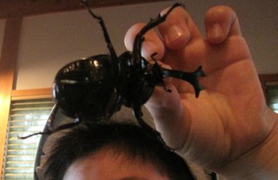 朝からテンションが上がる出来事