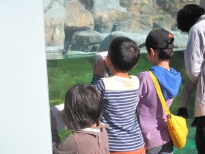 動物園で絵描き