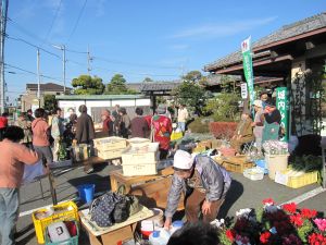 朝市に思う　その１