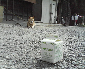 まるちゃんへ