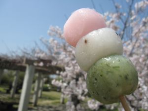 桜見て思う