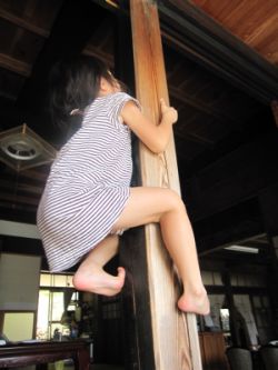 みんな登った