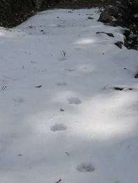 雪 2012/02/04 20:00:00