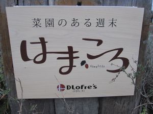はまころ　セカンドシーズン始まる