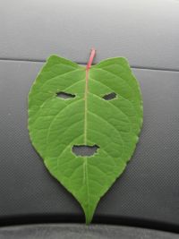 この時期にピッタリ