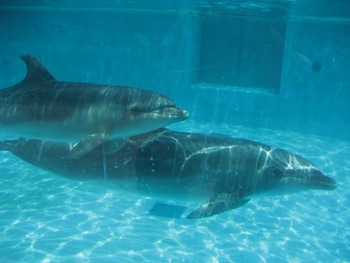 須磨水族館
