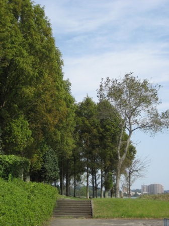 佐鳴湖