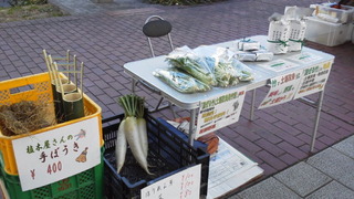 強風バザール。