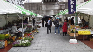 雨天決行！